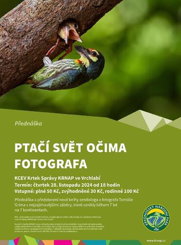 Ptačí svět očima fotografa