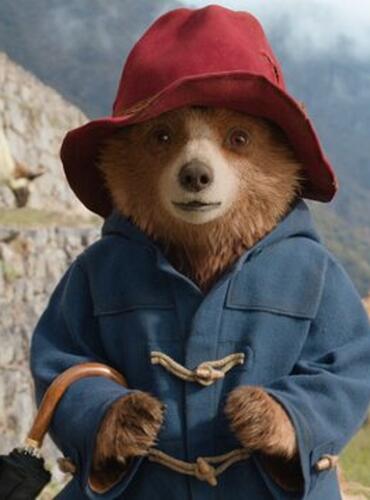 Paddington v džungli