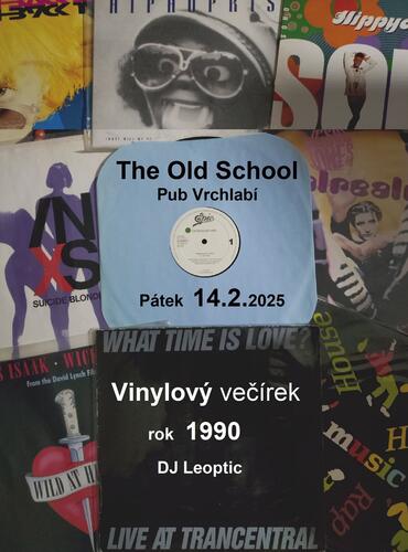 Vinylový večírek