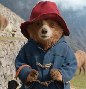 Paddington v džungli